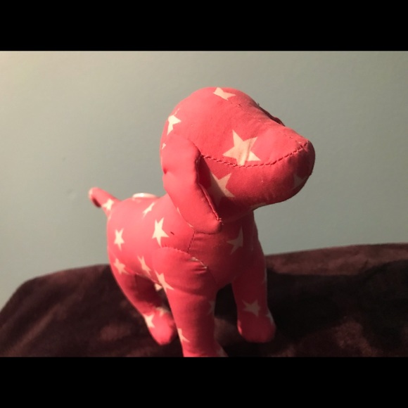 VS Pink dog - Picture 3 of 3